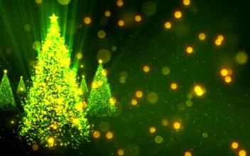 Stock Video Luminous Christmas Tree And Floating Particles Animated Wallpaper