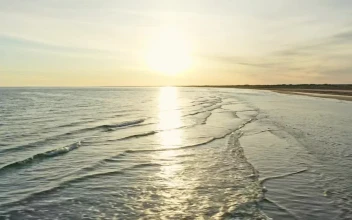 Stock Video Low Tide At The Beach Animated Wallpaper