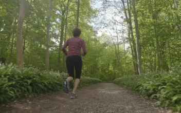 Stock Video Low Shot Of A Woman Running In The Woods Animated Wallpaper