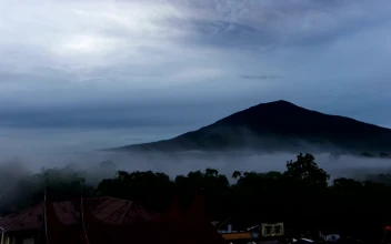 Stock Video Low Fog Between Hills Animated Wallpaper