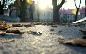Stock Video Low Angle Of Skater Riding Through Autumn Leaves Animated Wallpaper