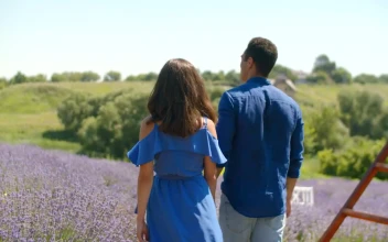 Stock Video Lovers Walking Through A Lavender Field Animated Wallpaper