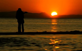 Stock Video Lovers Taking A Selfie At Sunset On The Seashore Animated Wallpaper