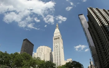 Stock Video Looking Up From Madison Square Park Animated Wallpaper