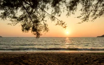 Stock Video Looking Out Over The Horizon At Sunset Animated Wallpaper