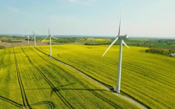 Stock Video Long Line Of Wind Turbines Animated Wallpaper