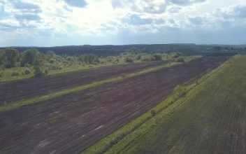 Stock Video Long Fields In The Countryside Animated Wallpaper