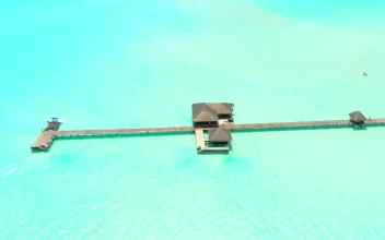 Stock Video Long Dock In The Sea Animated Wallpaper