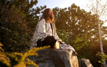 Stock Video Long Beard Man Meditating In Nature Animated Wallpaper