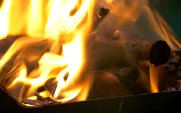 Stock Video Logs Burning In A Campfire At Night Animated Wallpaper