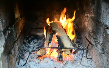 Stock Video Log Fire Burning Inside Animated Wallpaper