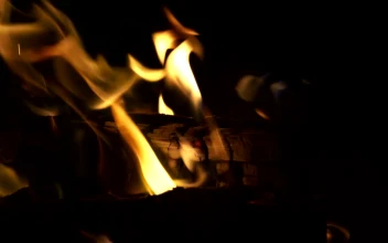 Stock Video Log Fire Burning Intensely At Night Animated Wallpaper