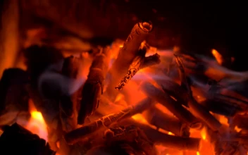 Stock Video Log Fire Burning Hot Animated Wallpaper