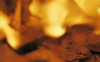 Stock Video Live Fire Burning Wood Slowly Animated Wallpaper