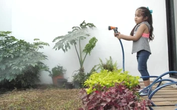 Stock Video Little Girl Watering Her Home Garden With A Hose Animated Wallpaper