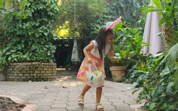 Stock Video Little Girl Collecting Easter Eggs Animated Wallpaper