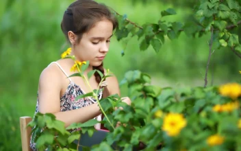 Stock Video Little Girl Collecting Berries On The Farm Animated Wallpaper