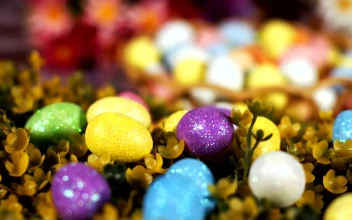 Stock Video Little Colored Easter Eggs Animated Wallpaper