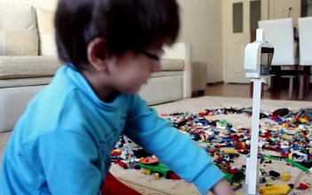 Stock Video Little Boy Playing With Many Lego Cubes Animated Wallpaper