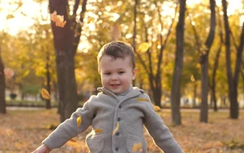 Stock Video Little Boy In The Park While Floating Autumn Leaves Animated Wallpaper