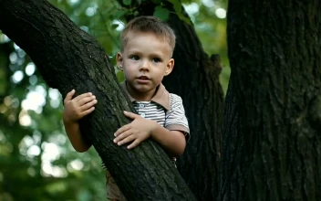 Stock Video Little Boy Climbing A Tree Animated Wallpaper