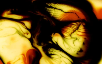 Stock Video Liquid With Psychedelic Texture In Black And White Tones Animated Wallpaper