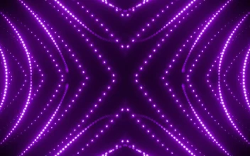 Stock Video Lines Of Violet Light Dots Waving Animated Wallpaper