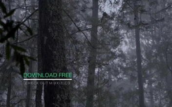 Stock Video Line Drop Lower Third Animated Wallpaper