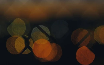 Stock Video Lights Out Of Focus Through A Wire Fence Animated Wallpaper