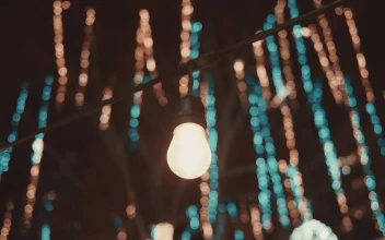 Stock Video Lights In A Christmas Park At Night Animated Wallpaper