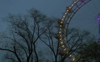 Stock Video Lights Around A Ferris Wheel Animated Wallpaper
