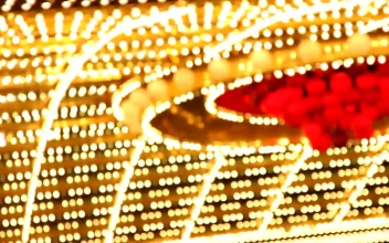 Stock Video Lights And Neon Of A Sign At Las Vegas Animated Wallpaper