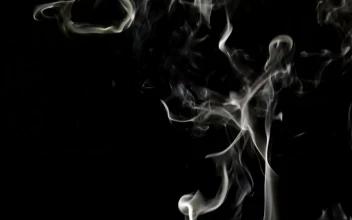 Stock Video Light Smoke Lines On Black Background Animated Wallpaper