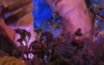 Stock Video Lgbtq Man Appreciating And Smelling Flowers Animated Wallpaper