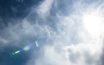 Stock Video Lens Flare From The Sun Animated Wallpaper