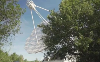 Stock Video Large Satellite Antenna In The Forest Smal Animated Wallpaper