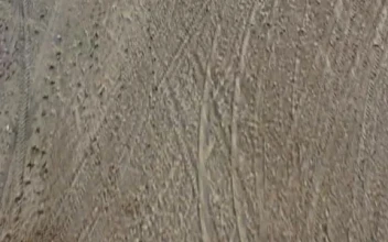 Stock Video Large Sandy Beach Smal Animated Wallpaper