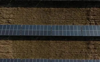 Stock Video Large Rows Of Solar Panels View From The Top Smal Animated Wallpaper