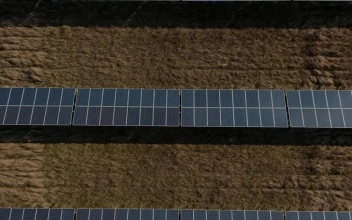 Stock Video Large Rows Of Solar Panels View From The Top Animated Wallpaper