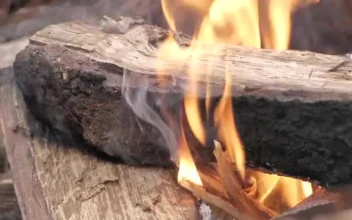 Stock Video Large Piece Of Wood On Flames Smal Animated Wallpaper