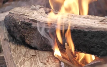 Stock Video Large Piece Of Wood On Flames Animated Wallpaper