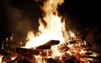 Stock Video Large Log Fire Burning Outside Smal Animated Wallpaper
