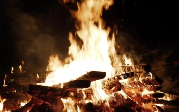 Stock Video Large Log Fire Burning Outside Animated Wallpaper