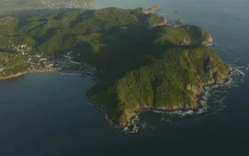 Stock Video Large Island With Mountainous Relief Covered With Trees And Plants Smal Animated Wallpaper