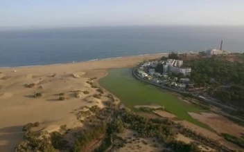 Stock Video Large Hotel On The Coast Of Gran Canaria Smal Animated Wallpaper