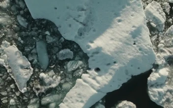 Stock Video Large Ice Fields Top Shot Animated Wallpaper