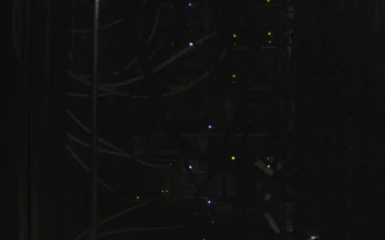 Stock Video Large Datacenter Smal Animated Wallpaper
