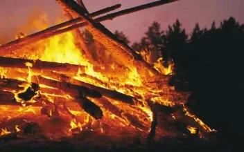 Stock Video Large Campfire In The Middle Of Nature Smal Animated Wallpaper