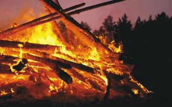 Stock Video Large Campfire In The Middle Of Nature Animated Wallpaper