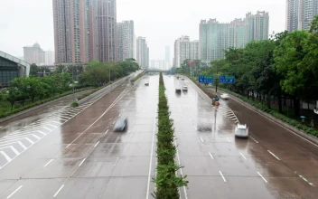 Stock Video Large Avenue In A Big City During A Rainy Day Animated Wallpaper